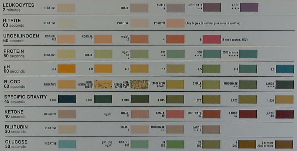 Siemens Multistix Sg Color Chart | sevencolors.co.jp